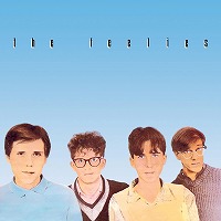 the_feelies