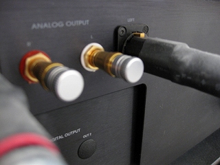 アコリバのキャップ